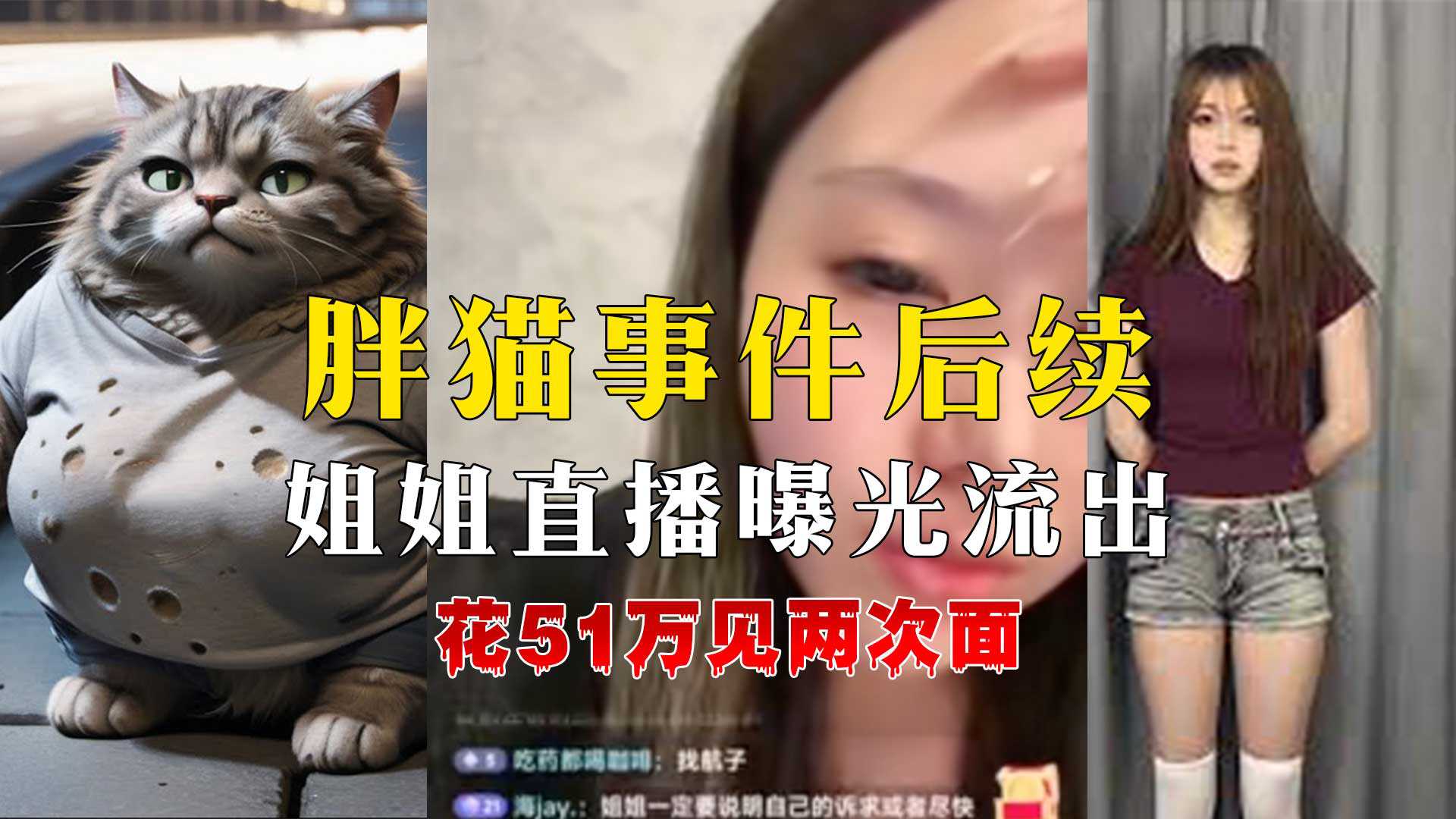 胖猫事件后续姐姐直播曝光答疑解惑声泪俱下 胖猫事件后续姐姐直播曝光答疑解惑声泪俱下