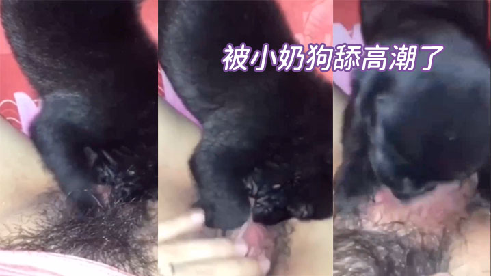 被小狗舔到高潮 被小狗舔到高潮