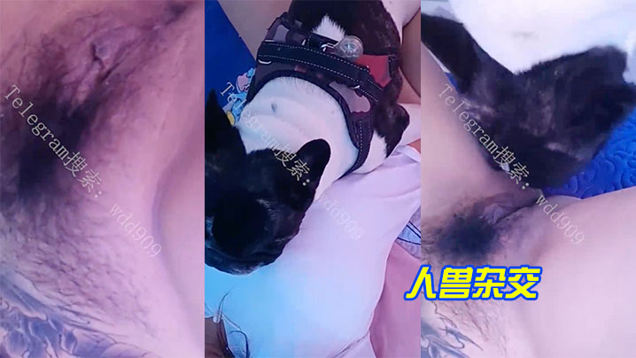人兽杂交 人兽杂交