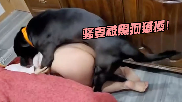 骚妻被黑狗猛操 骚妻被黑狗猛操