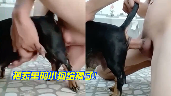把家里的小狗给操了 把家里的小狗给操了