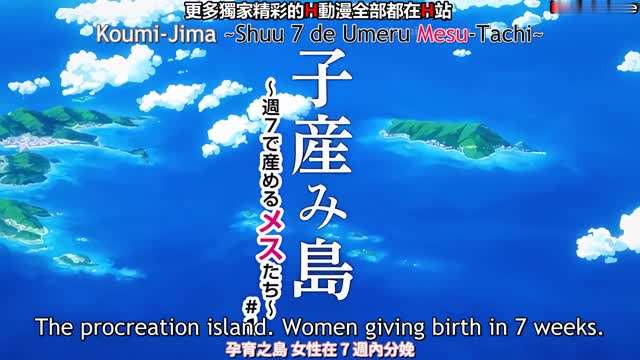 我想看的子岛上 我想看的子岛上