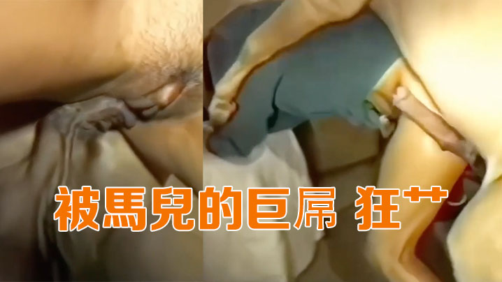 被马儿的巨屌狂艹 被马儿的巨屌狂艹