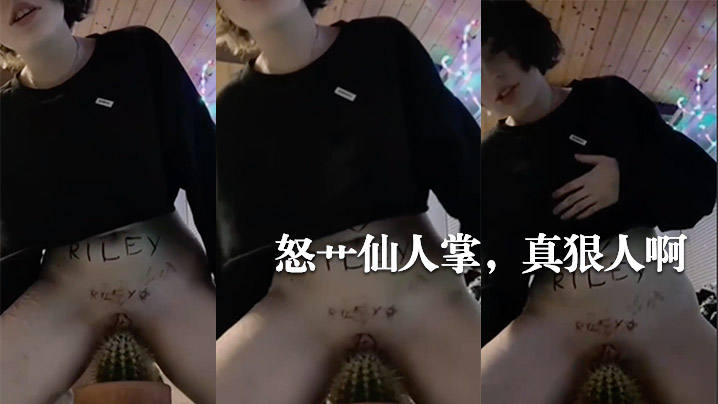 怒艹仙人掌真狠人啊 怒艹仙人掌真狠人啊