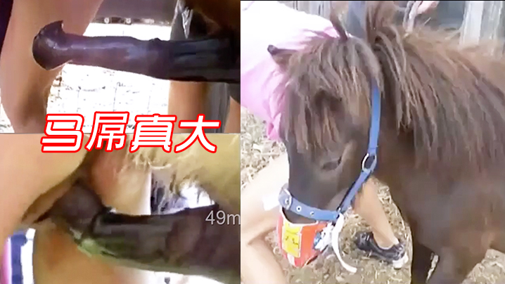 马屌真大 马屌真大