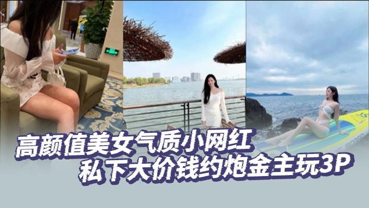 高颜值美女气质小网红私下大价钱约炮金主玩3P大哥肏的太生猛了把套子都干漏了 高颜值美女气质小网红私下大价钱约炮金主玩3P大哥肏的太生猛了把套子都干漏了