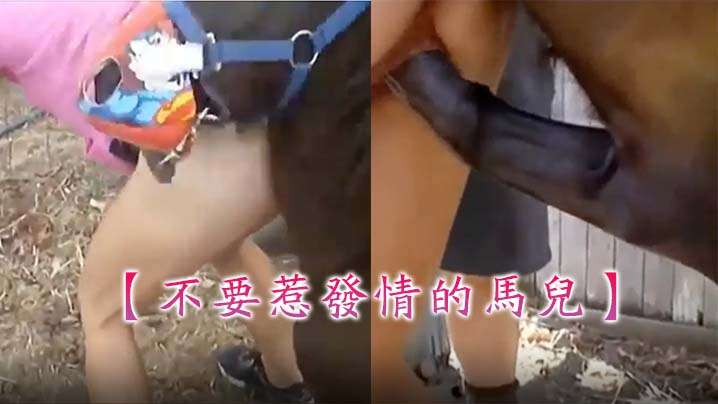 不要惹发情的马儿马鞭的后入攻势这么多水 不要惹发情的马儿马鞭的后入攻势这么多水