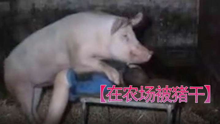 在农场被猪干男人被干的挺爽 在农场被猪干男人被干的挺爽