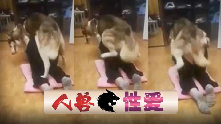 国产人兽狗狗后入抽插爽的有插了几次 国产人兽狗狗后入抽插爽的有插了几次