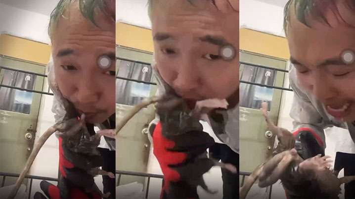 劲爆给老鼠口交什么奇葩性趣 劲爆给老鼠口交什么奇葩性趣