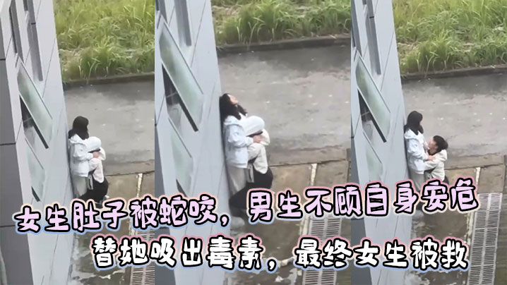 女生肚子被蛇咬,男生不顾自身安危 替她吸出毒素,最终女生被救 女生肚子被蛇咬,男生不顾自身安危 替她吸出毒素,最终女生被救