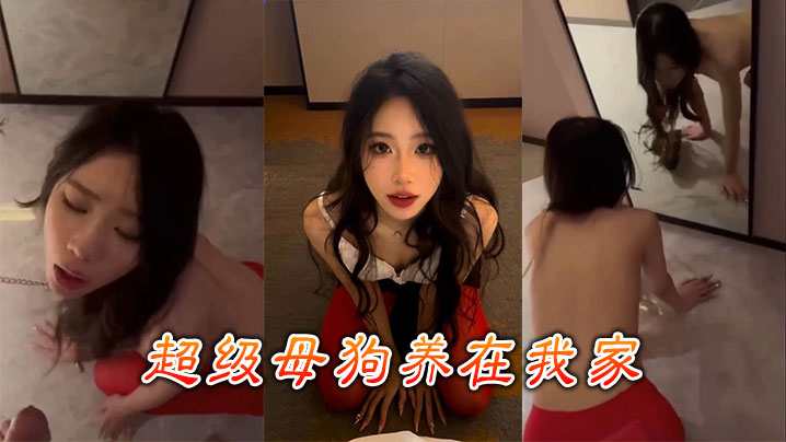 超级母狗养在我家封面图