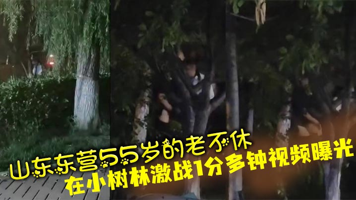 山东东营55岁的老不休在小树林激战1分多钟视频曝光封面图